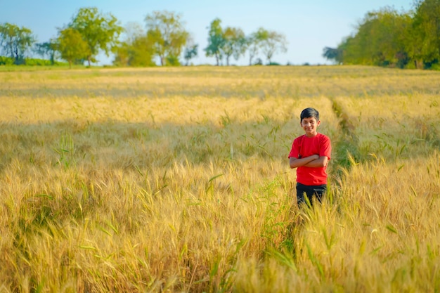 Giovane bambino indiano che gioca al campo di frumento, India rurale