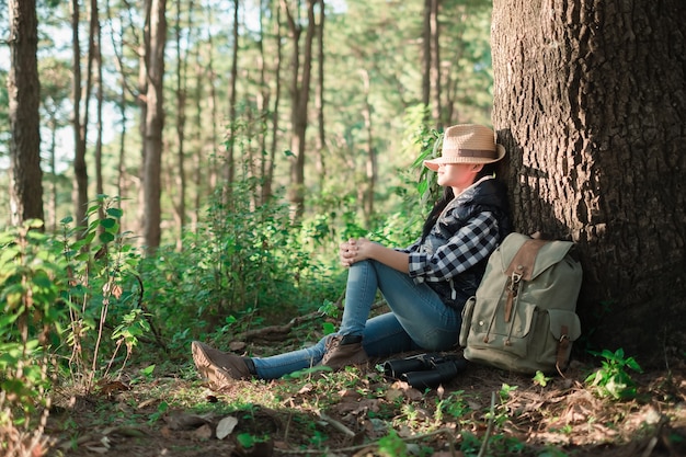 Giovane bella donna della viandante che si siede sotto un grande albero nella foresta tropicale