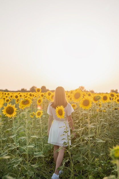 Giovane bella donna tra i girasoli al tramonto