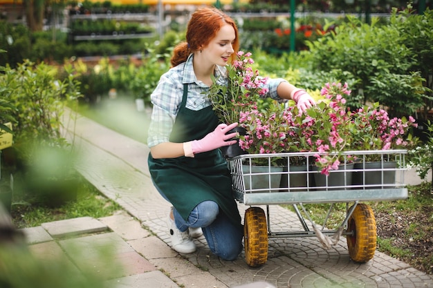 Giovane bella fiorista in grembiule e guanti rosa che lavora sognante con i fiori nel carrello da giardino in serra