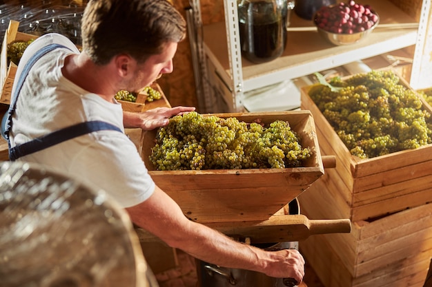 Giovane brunetta concentrato che opera l'attrezzatura della cantina per la frantumazione dell'uva