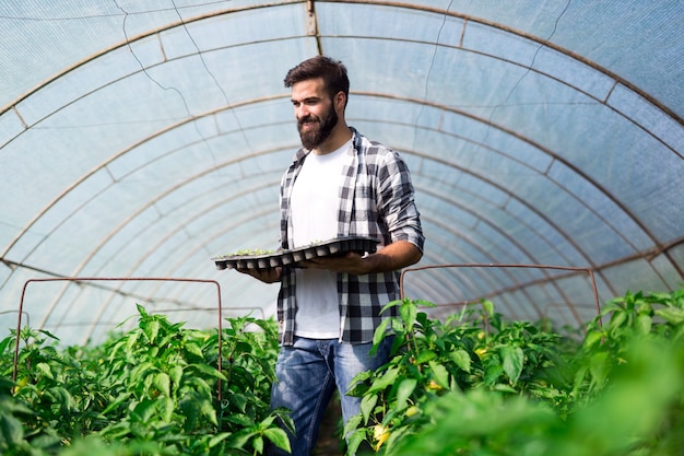 Giovane che fa lavori in pianta nella sua serra