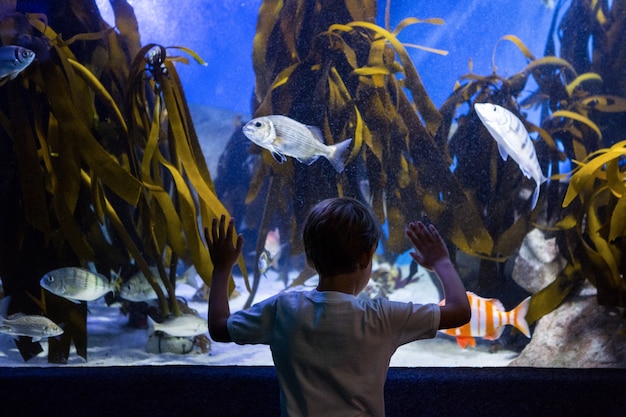 Giovane che guarda pesce e alghe