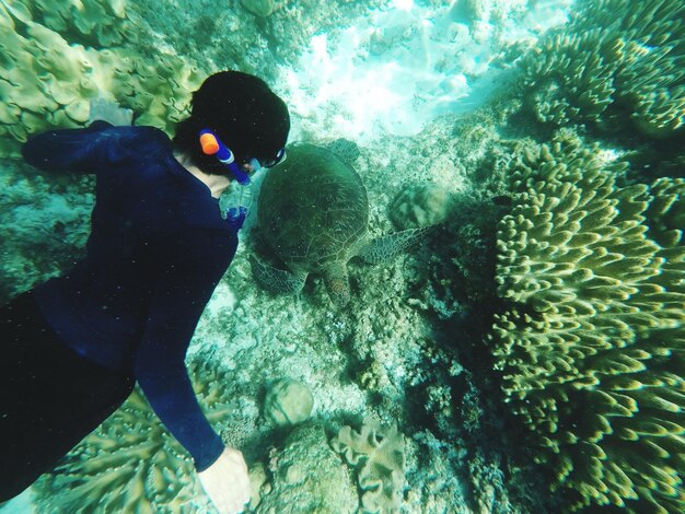 Giovane che si tuffa in mare