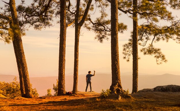 Giovane che sta da solo nella foresta all&#39;aperto con la natura del tramonto sul fondo Lifest di viaggio