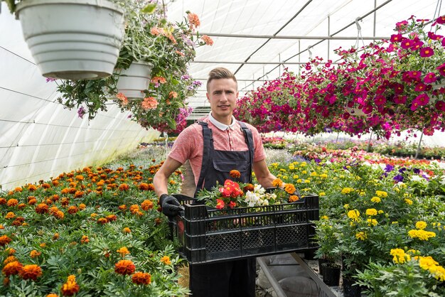 Giovane che tiene la scatola piena di fiori primaverili che lavorano in serra industriale. Botanica