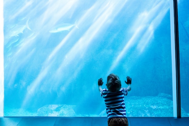 Giovane che tocca un acquario gigante