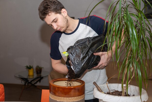 Giovane che trapianta una pianta dracaena in terreno fertile e nuovo vaso di fiori