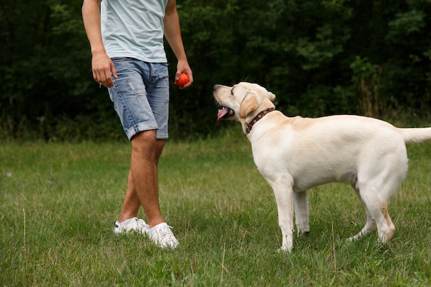 Giovane con labrador felice nel parco