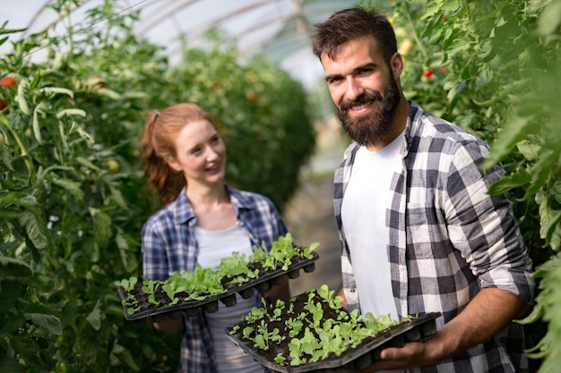 Giovane coppia che coltiva ortaggi in una serra moderna