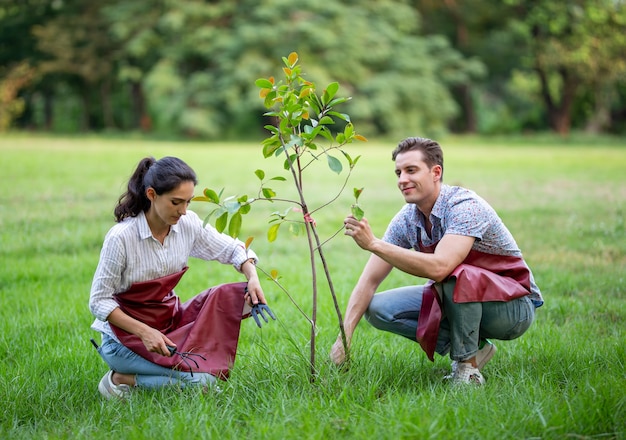 Giovane coppia di volontari che piantano un nuovo albero nel parco