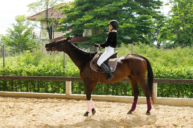 Giovane donna asiatica 20s in tuta da equitazione con bellissimo animale all'aperto. Cavalcata femminile alta intelligente forte Cavallo in pratica di apprendimento stabile e in treno su sfondo verde a tutta lunghezza