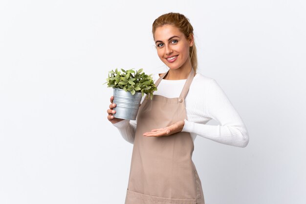 Giovane donna bionda della donna del giardiniere che tiene una pianta sopra spazio bianco isolato che estende le mani al lato per l'invito a venire