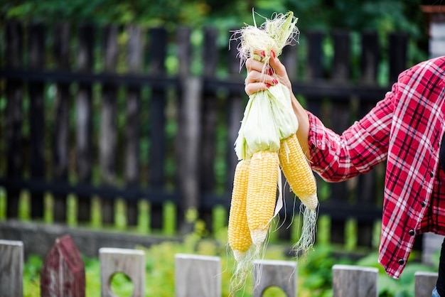 Giovane donna casuale che tiene la pannocchia di mais in giardino