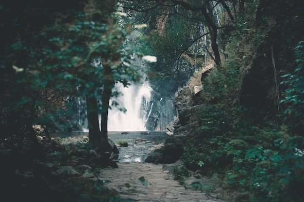 Giovane donna che corre verso una cascata di libertà nella natura stile di vita indipendente e concetto di libertà Parata naturale e concetto di aria pura Copia l'immagine dello spazio