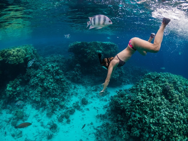 Giovane donna che fa snorkeling alla barriera corallina nel mare tropicale