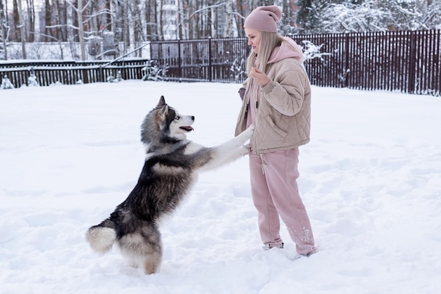 Giovane donna che gioca con il cane husky siberiano nella neve in una giornata invernale, addestrando e portando a spasso il suo cane. Amicizia, cane adorabile, miglior animale domestico, cane per una passeggiata con il suo proprietario