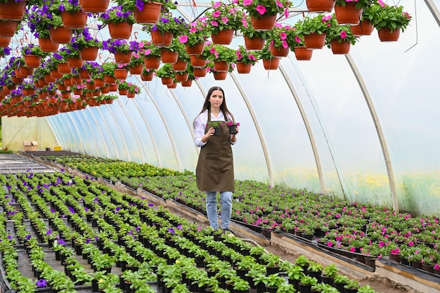 Giovane donna che lavora in serra e si gode dei bei fiori Giardiniere che tiene ed esamina piccole piantine