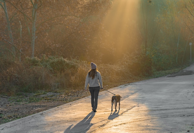 Giovane donna che porta a spasso il suo cane in natura con i raggi del sole mattutino caldo bagliore e lunghe ombre