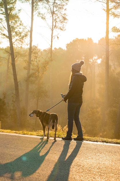 Giovane donna che porta a spasso il suo cane in natura con i raggi del sole mattutino caldo bagliore e lunghe ombre