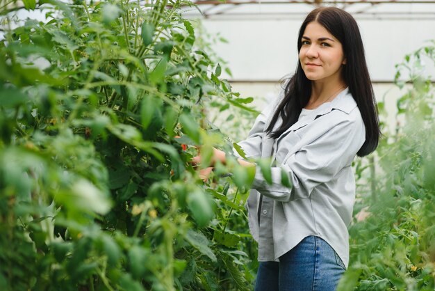 Giovane donna che raccoglie le verdure dalla serra