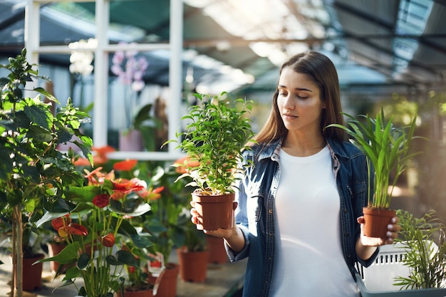 Giovane donna che sceglie tra le piante da utilizzare per la sua progettazione del paesaggio