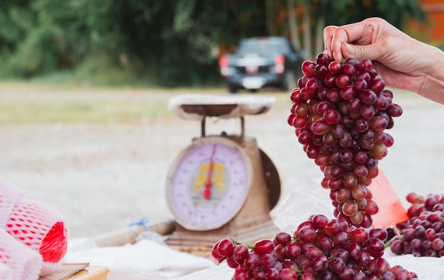 Giovane donna che sceglie uva al supermercato. Concetto di stile di vita sano.