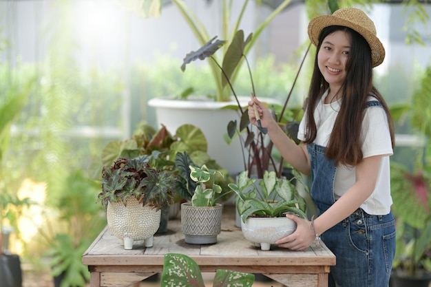 Giovane donna che si prende cura della piantagione di alberi e delle piante di attrezzature nelle serre di piccole imprese