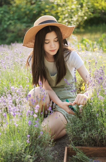 Giovane donna che taglia i mazzi di lavanda