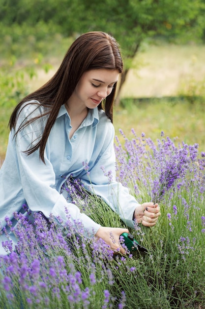 Giovane donna che taglia i mazzi di lavanda