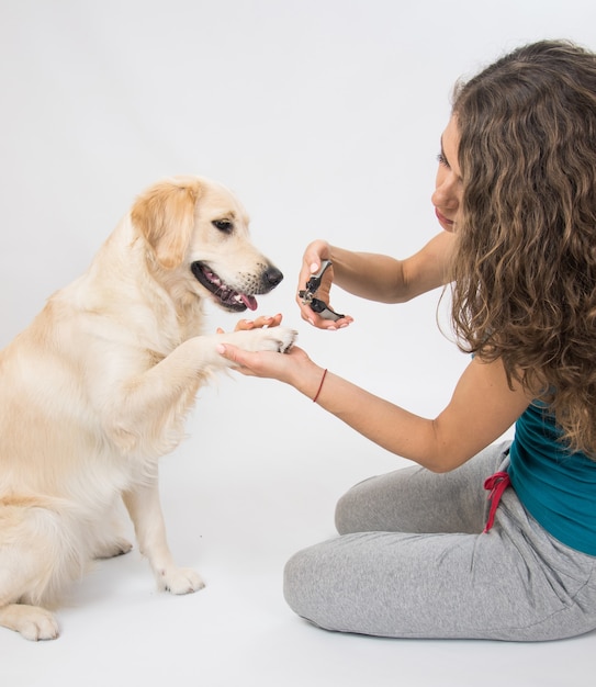 Giovane donna che taglia le unghie del cane con uno strumento speciale