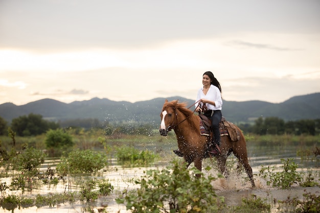 Giovane donna con il suo cavallo nella luce del tramonto di sera All&#39;aperto