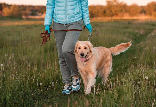 Giovane donna con la sua camminata del cane del documentalista dorato