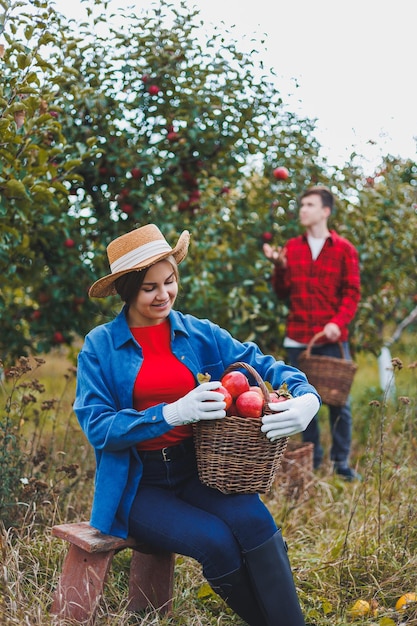 Giovane donna con un cappello in un frutteto Donne con cappelli raccolgono mele rosse in un cesto sullo sfondo della natura Raccolta mele in giardino Stagione autunnale nel frutteto