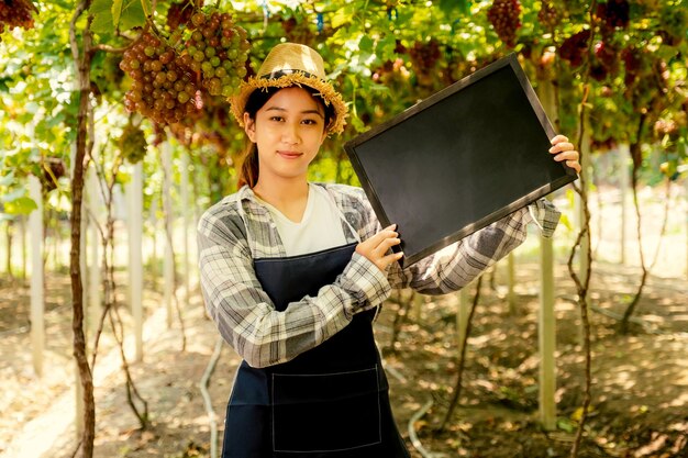 Giovane donna dell'agricoltore dell'Asia che tiene lavagna nella vigna dell'uva, concetto organico sano della frutta.