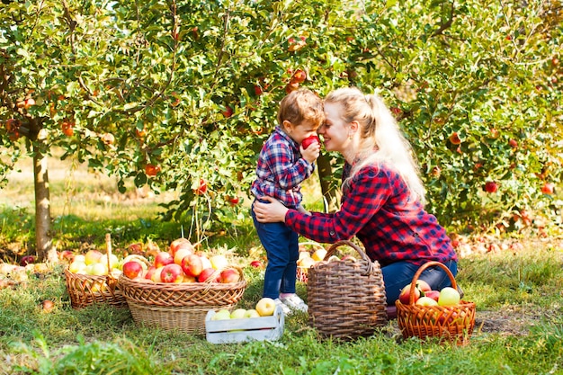 Giovane donna e una bambina carina al frutteto di mele con alberi verdi ed erba su uno sfondo