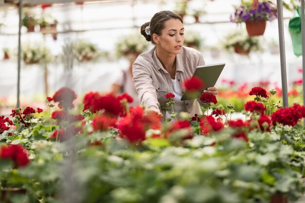 Giovane donna fiorista che lavora in una serra e utilizza la tavoletta digitale mentre controlla i fiori. Donna imprenditrice.