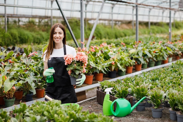 Giovane donna fiorista spruzzare acqua su piante d'appartamento in vasi di fiori da spruzzatore Primo piano di giardiniere femmina spruzza fiori utilizzando il flacone spray