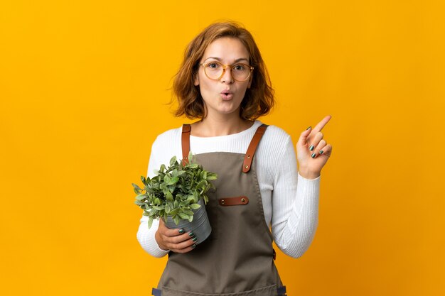 Giovane donna georgiana che tiene una pianta isolata su priorità bassa gialla che intende realizzare la soluzione mentre solleva un dito