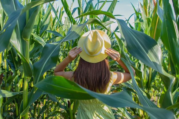 Giovane donna graziosa con il cappello giallo tra le piante di mais nel campo di mais nella stagione estiva Bereza Bielorussia