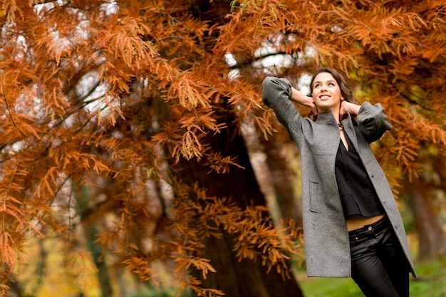 Giovane donna graziosa nella foresta di autunno