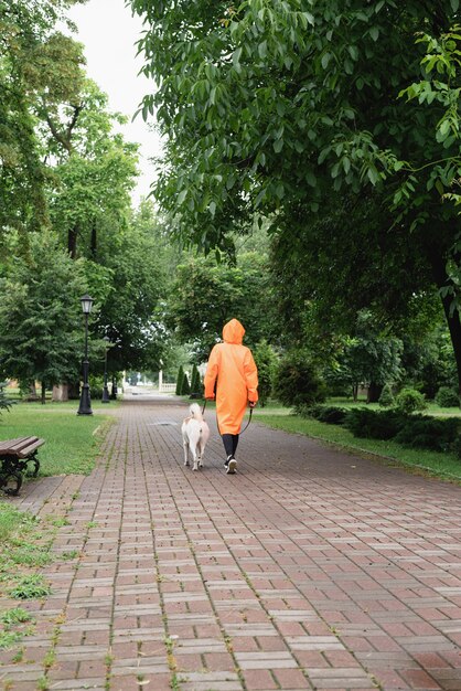 Giovane donna in impermeabile arancione che cammina con il suo cane in un parco