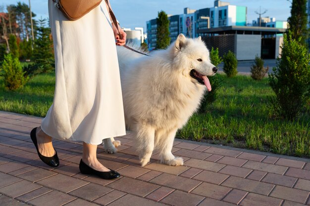 Giovane donna in un vestito bianco che cammina il suo cane