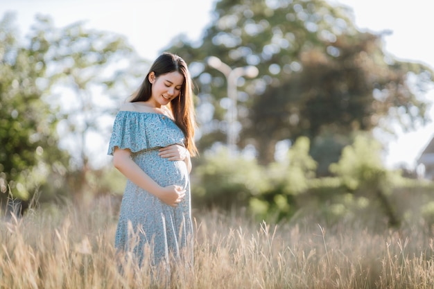 Giovane donna incinta asiatica in abito blu che si rilassa e si gode la vita nella natura dell'erba al giorno d'estate