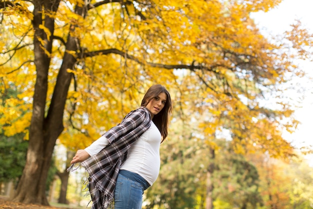 Giovane donna incinta nel parco autunnale