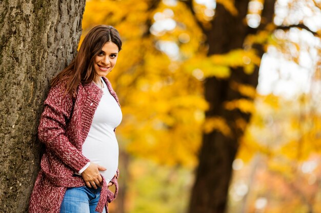 Giovane donna incinta nel parco autunnale