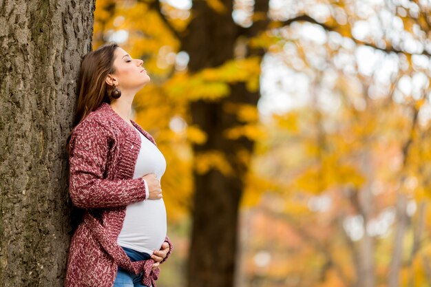Giovane donna incinta nel parco autunnale