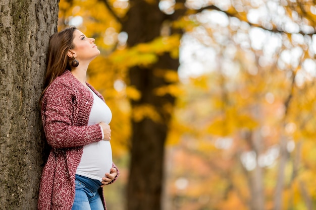 Giovane donna incinta nel parco autunnale