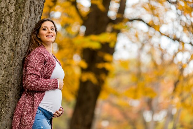 Giovane donna incinta nel parco autunnale