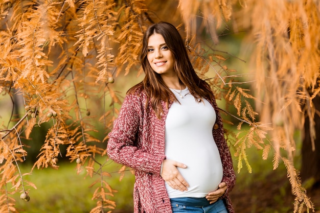 Giovane donna incinta nel parco autunnale